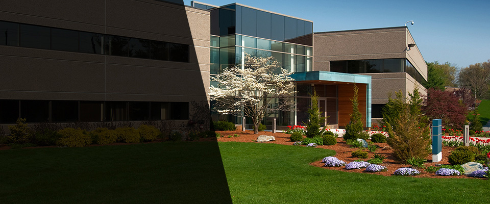 Redwood Valley Landscapers