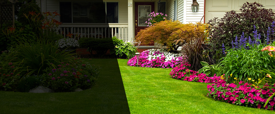Redwood Valley Landscapers