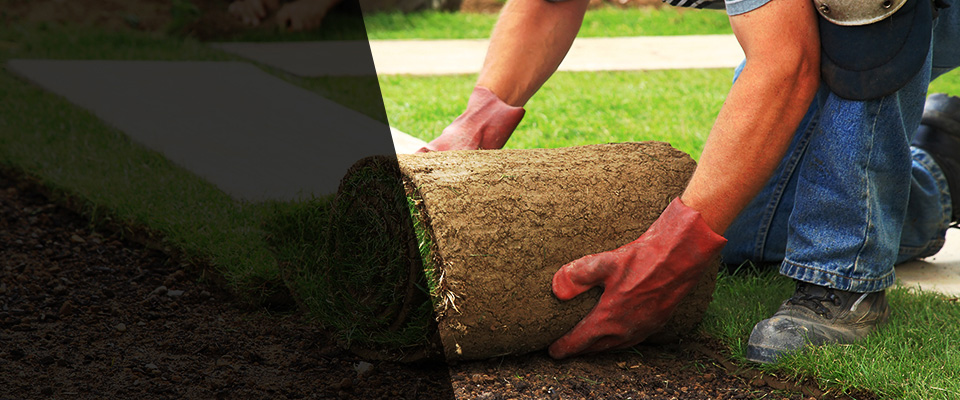 Redwood Valley Landscapers